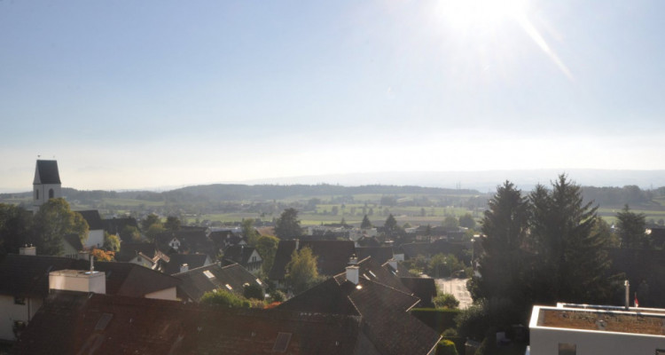 Appartement Hedingen - 1.5 pièces image 4