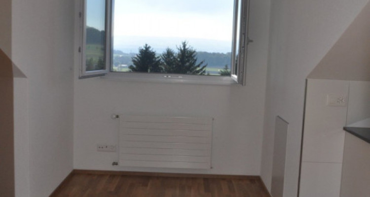 Appartement Hedingen - 1.5 pièces image 7