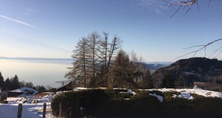 Caux sur Montreux - Terrain avec projet - libre de mandat image 1