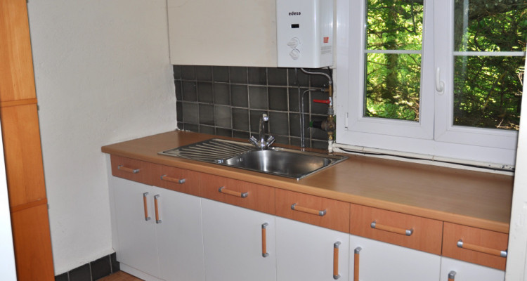 PULLY - CHARMANT JARDIN AVEC PETIT CHALET  image 6