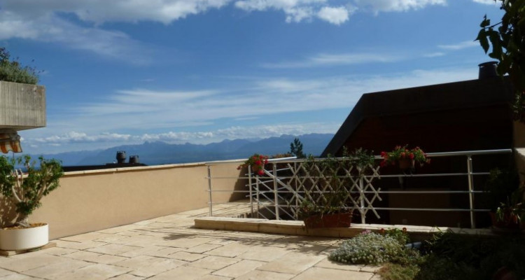 Spacieuse villa avec vue Léman et Alpes image 3