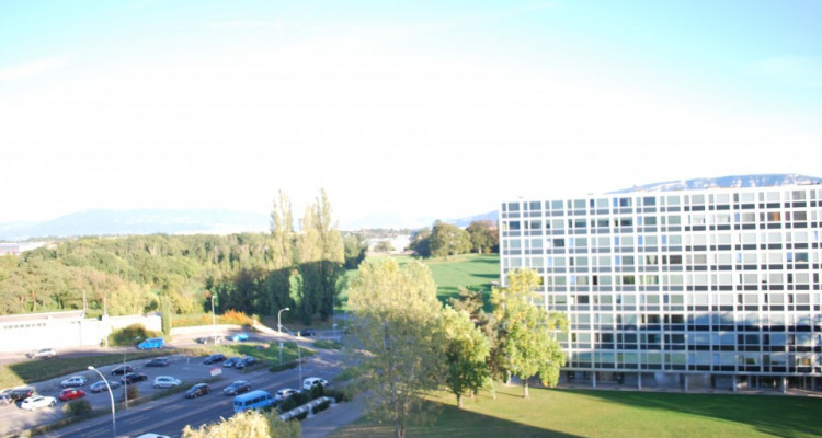 Appartement traversant de 4,5 pièces avec balcon et vue sur les Alpes image 2