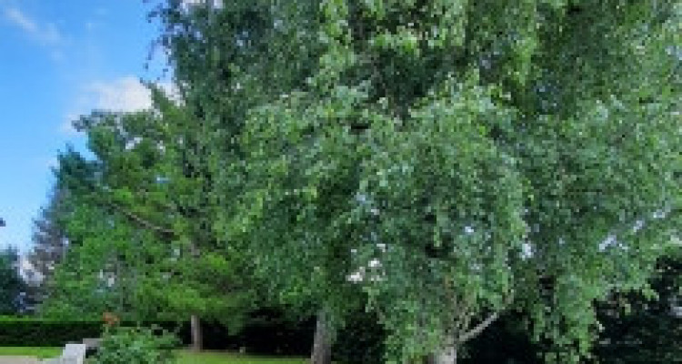 Votre future Maison individuelle familiale et son grand jardin image 2