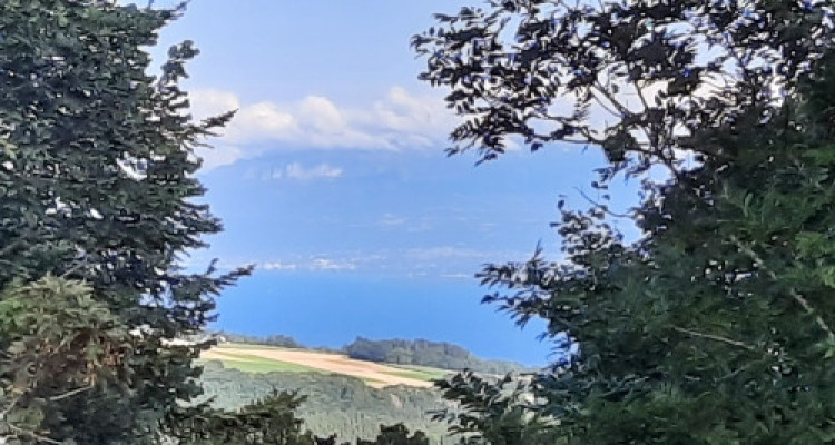 Votre future Maison individuelle familiale et son grand jardin image 3