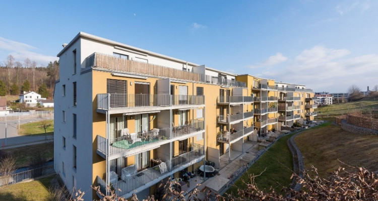 Appartement Illnau-Effretikon - 4.5 pièces image 1