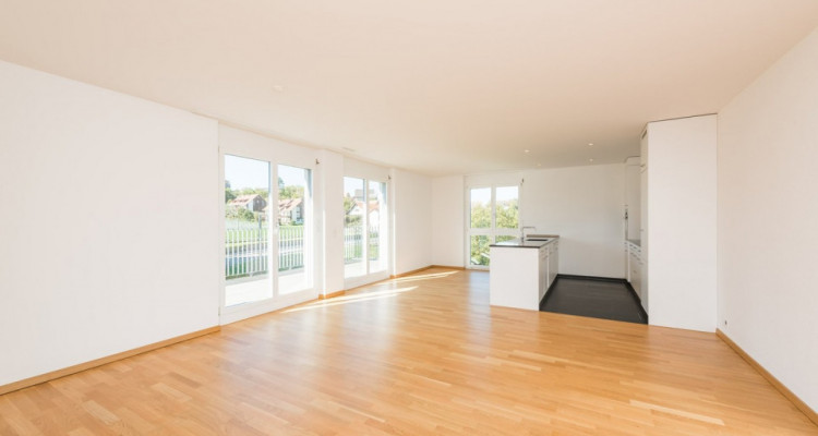 Appartement Illnau-Effretikon - 4.5 pièces image 2