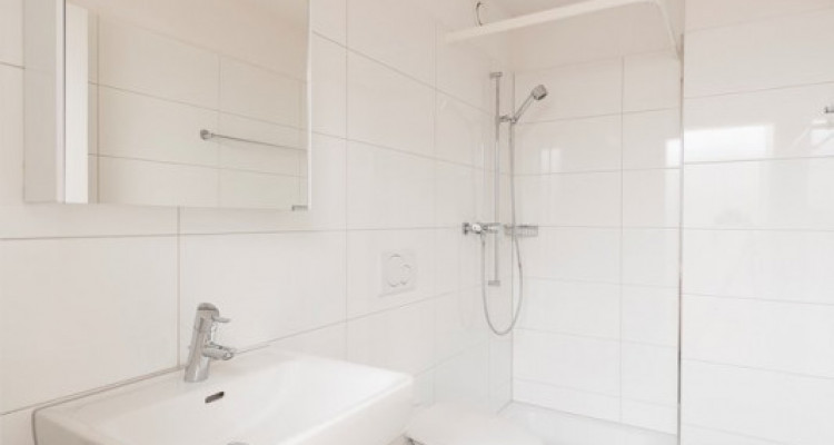 Appartement Illnau-Effretikon - 4.5 pièces image 6