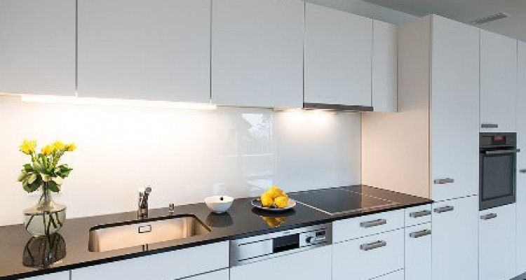 Appartement Wädenswil - 3.5 pièces image 4