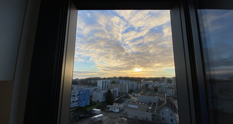 Appartement Renens - 2.5 pièces image 7