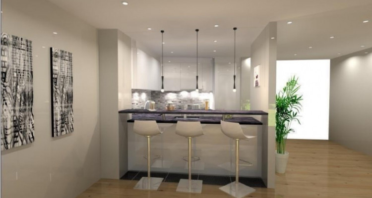 Appartement neuf en PPE avec vue sur les Alpes, vente sur plans image 5