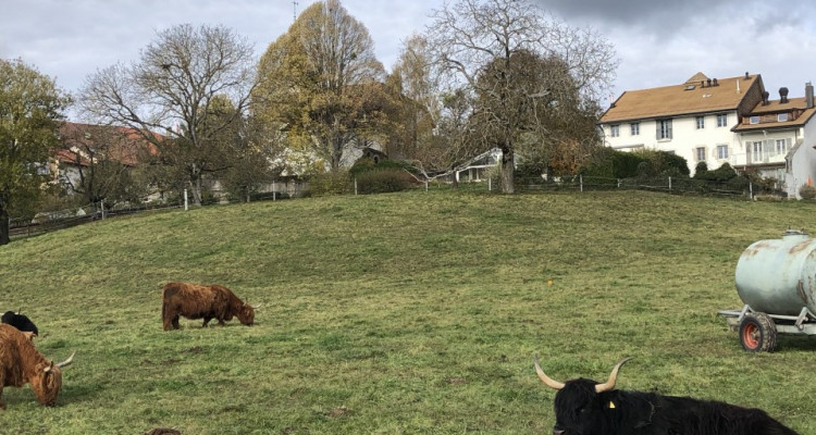 Appartement neuf en PPE avec vue sur les Alpes, vente sur plans image 10