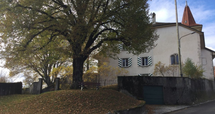 Appartement neuf en PPE avec vue sur les Alpes, vente sur plans image 12