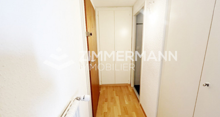 Appartement Carouge - 1 pièce image 3