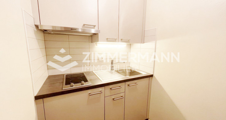 Appartement Carouge - 1 pièce image 4