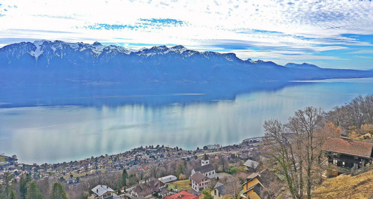 Chardonne - Villa individuelle 7.5 pcs de 2 logements - face au lac  image 2