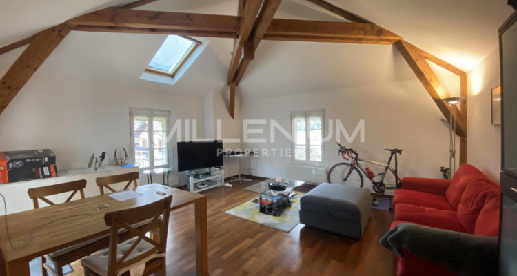 Appartement meublé avec terrasse au Petit Lancy. image 2