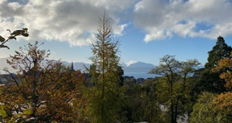 Appartement 3 pièces au rez - Av. Louis-Vulliemin 32 à Lausanne image 1