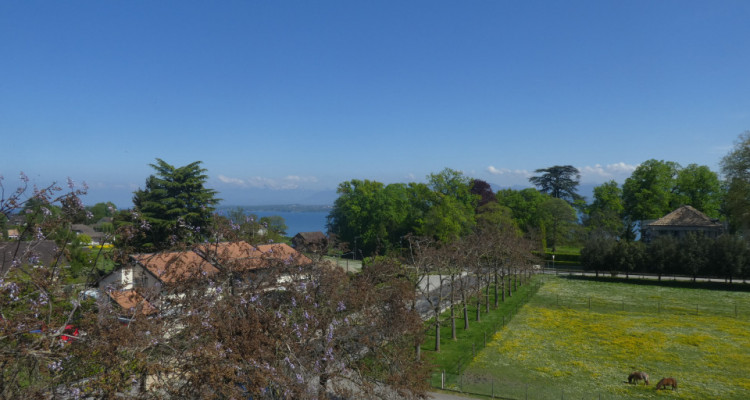 LIBRE DE SUITE - Magnifique attique avec très belle vue à Crans  image 7