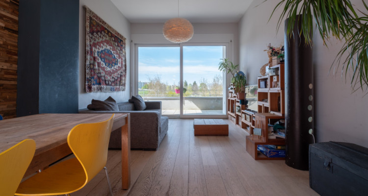 Appartement de rendement de 5 pièces au centre de Fribourg image 1