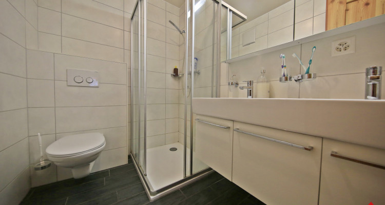 Magnifique appartement 4.5 pièces avec terrasse image 6