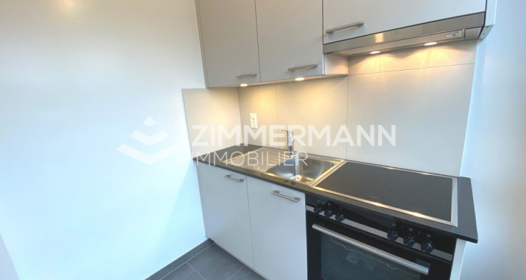 Appartement Thônex - 1 pièce image 3