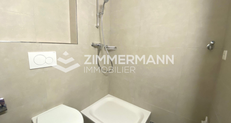 Appartement Thônex - 1 pièce image 4