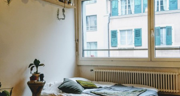 appartement 2 pièces plainpalais image 3