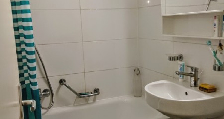 appartement 2 pièces plainpalais image 4