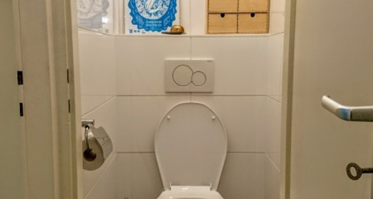 appartement 2 pièces plainpalais image 5