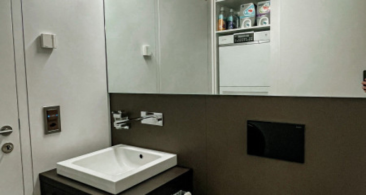 einmalige Chance - Designerhaus in Pratteln image 10