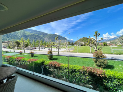 Appartement 3,5 pièces récent avec vue dégagée plein ouest image 10