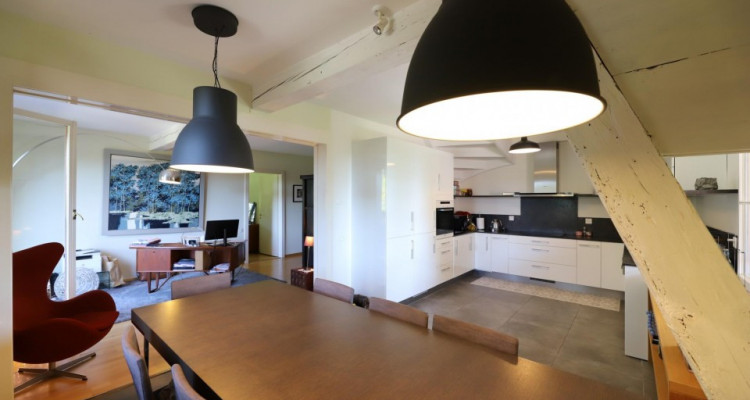 Duplex 6.5P en plein coeur de la campagne genevoise image 4