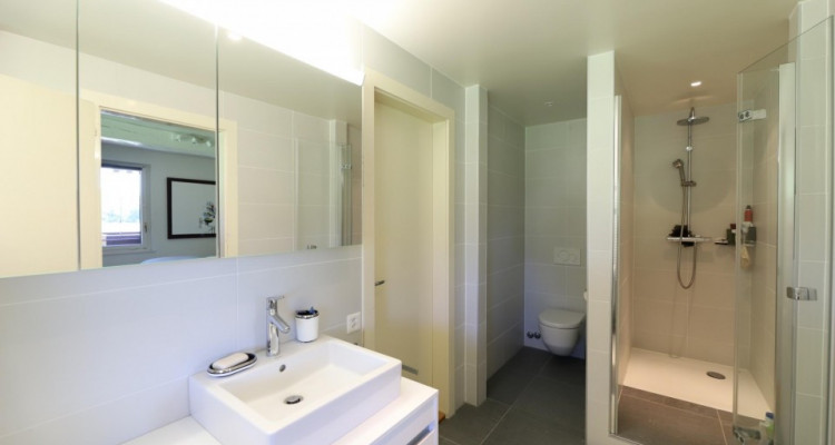 Duplex 6.5P en plein coeur de la campagne genevoise image 8