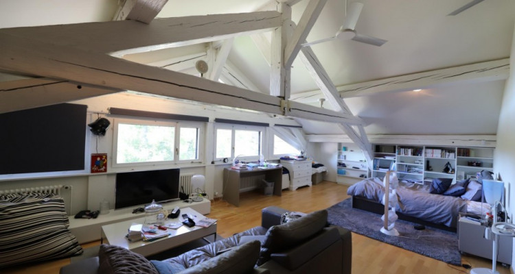 Duplex 6.5P en plein coeur de la campagne genevoise image 12