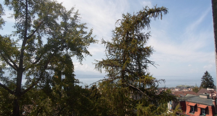 Appartement Lausanne - 2.5 pièces image 6