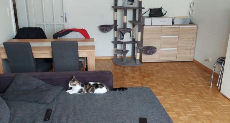 Appartement Val-de-Travers - 3 pièces image 3