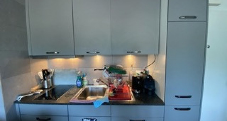 Appartement Epalinges - 1 pièce image 1