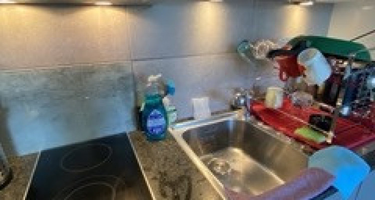 Appartement Epalinges - 1 pièce image 2