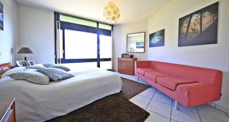 Splendide villa / 6 chambres / Piscine intérieure- Sauna - Vue lac image 4