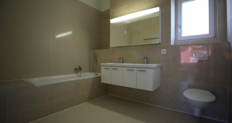 Jolie maison sur la commune de Genthod image 9