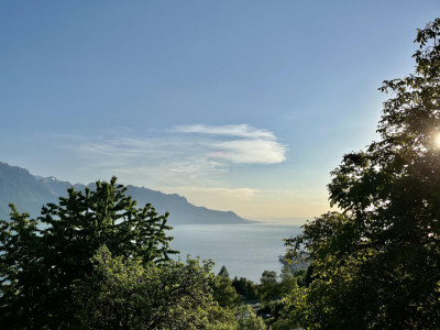 A proximité du village de Chernex terrain constructible avec vue sur le lac et les Alpes image 1
