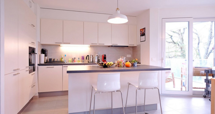 Sous-location appart 3,5 p / 2 chambres / 2 SDB / terrasse avec jardin image 2