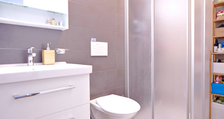 Sous-location appart 3,5 p / 2 chambres / 2 SDB / terrasse avec jardin image 4