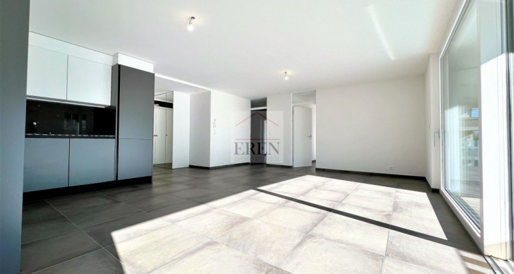 Appartement 3,5p neuf de 110 m2 avec grande terrasse image 1