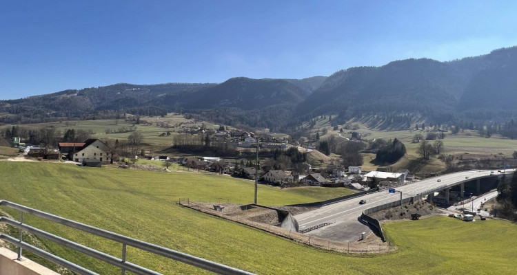 Attique 5.5 pièces à Moutier image 10