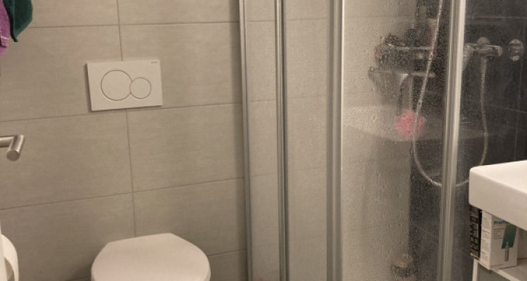 Appartement Crissier - 3 pièces image 10