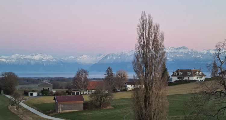 Joli appartement de 3.5 pièces avec un grand balcon avec vue dégagée image 9