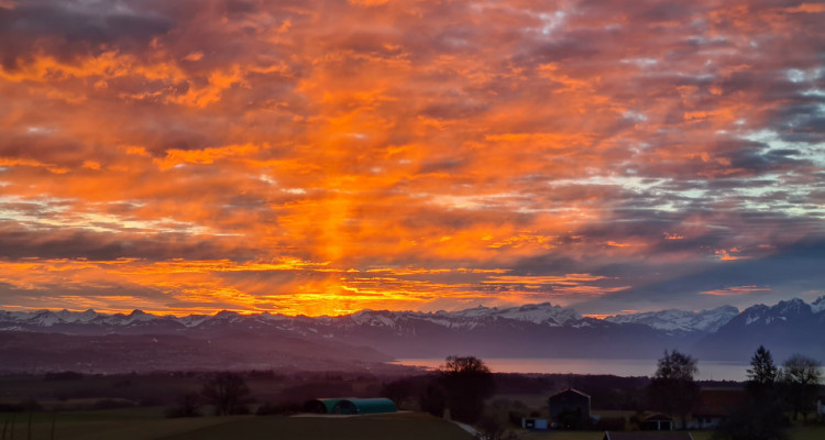 Joli appartement de 3.5 pièces avec un grand balcon avec vue dégagée image 10