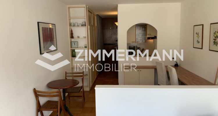 Appartement Genève - 1 pièce image 2