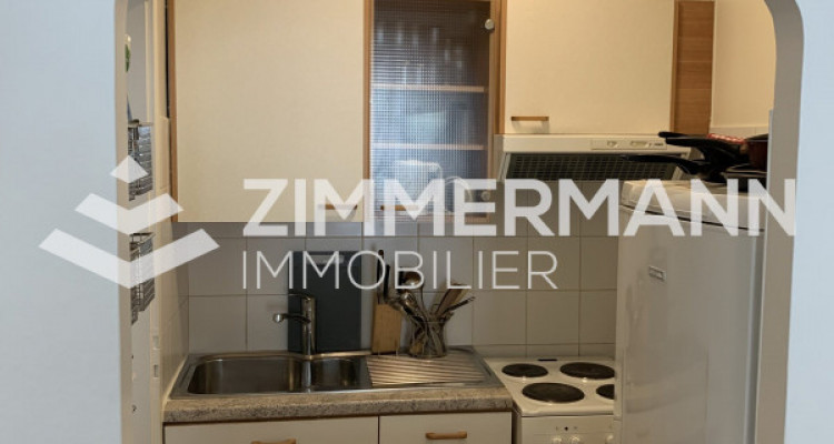 Appartement Genève - 1 pièce image 3